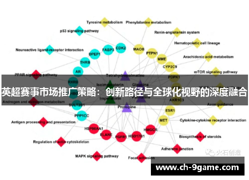 英超赛事市场推广策略:创新路径与全球化视野的深度融合 英超赛事市场推广策略:创新路径与全球化视野的深度融合